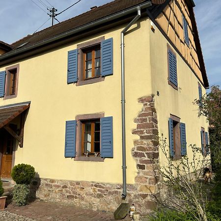 Gite La Maison De Jules Muntzenheim Eksteriør billede