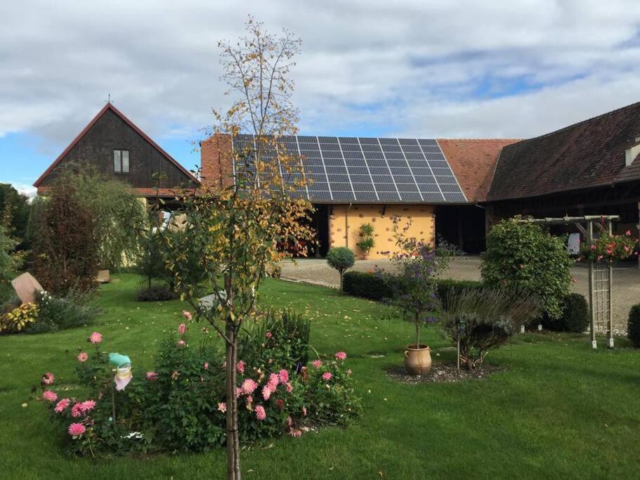 Gite La Maison De Jules Muntzenheim Eksteriør billede