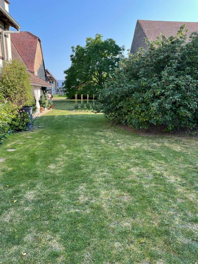 Gite La Maison De Jules Muntzenheim Eksteriør billede